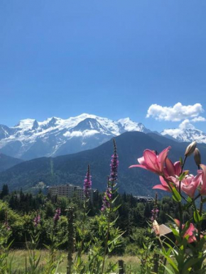 Appartement au pays du Mont-Blanc